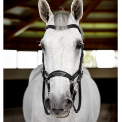 Micklem Trense für Turnier – anatomisch, FEI, Horseware