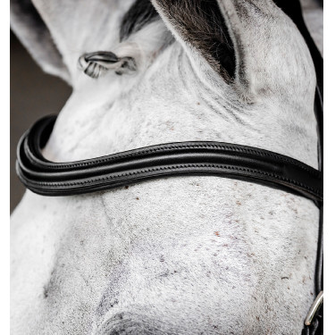 Micklem Trense für Turnier – anatomisch, FEI, Horseware