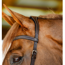 Micklem Trense für Turnier – anatomisch, FEI-zugelassen Micklem Trense für Turnier – anatomisch, FEI-zugelassen