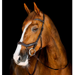Micklem Trense für Turnier – anatomisch, FEI-zugelassen Micklem Trense für Turnier – anatomisch, FEI-zugelassen