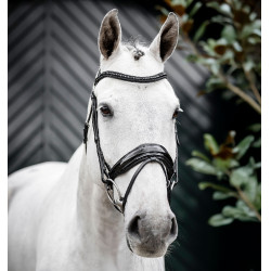 Reithalfter mit Diamanten-Akzenten – Horseware
