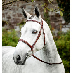 Reithalfter Cavesson Hunter mit Zügeln – Reitzubehör