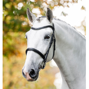 Reitzubehör: Kavesson Zaumzeug aus Leder – Horseware