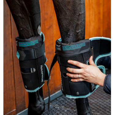 Pferde Knieschoner mit Kälte & Vibration | Reiten