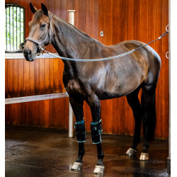 Pferde Knieschoner mit Kälte & Vibration | Reiten