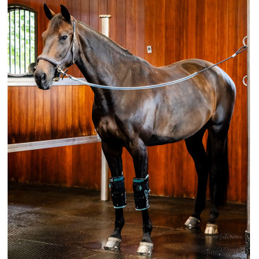 Pferde Knieschoner mit Kälte & Vibration | Reiten