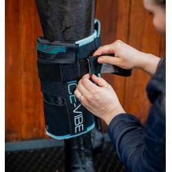 Pferde Knieschoner mit Kälte & Vibration | Reiten