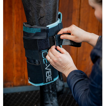 Pferde Knieschoner mit Kälte & Vibration | Reiten