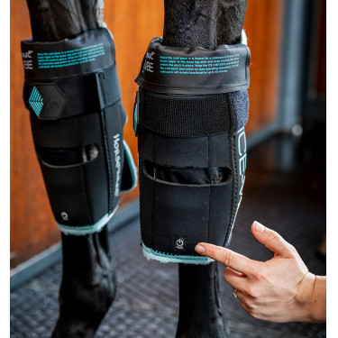 Pferde Knieschoner mit Kälte & Vibration | Reiten