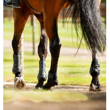 Fesselkopfgamaschen fürs Pferd – Horseware Reitsport | EQUI-CLIC Fesselkopfgamaschen fürs Pferd – Horseware Reitsport | EQUI-CLIC