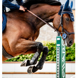 Reitgamaschen Horseware Classic – Schutz & Komfort Reitgamaschen Horseware Classic – Schutz & Komfort