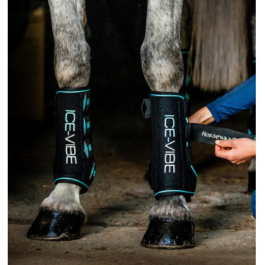 Ice-Vibe Massage-Gamaschen fürs Pferd | Reiten
