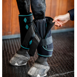Ice-Vibe Massage-Gamaschen fürs Pferd | Reiten