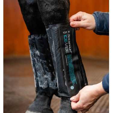 Ice-Vibe Massage-Gamaschen fürs Pferd | Reiten