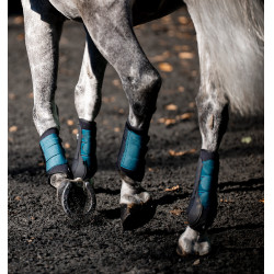 Dressurgamaschen für Pferde – Horseware Classic | Equi-Clic