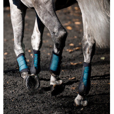 Dressurgamaschen für Pferde – Horseware Classic | Equi-Clic