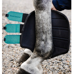 Dressurgamaschen für Pferde – Horseware Classic | Equi-Clic