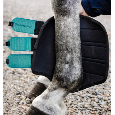 Dressurgamaschen für Pferde – Horseware Classic | Equi-Clic