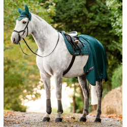 Dressurgamaschen für Pferde – Horseware Classic | Equi-Clic