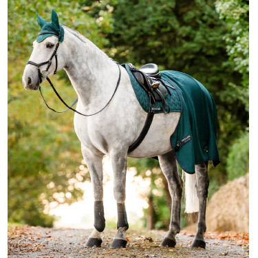 Dressurgamaschen für Pferde – Horseware Classic | Equi-Clic