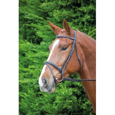Trensenzaum für Pferde Shires Aviemore Comfort Fit