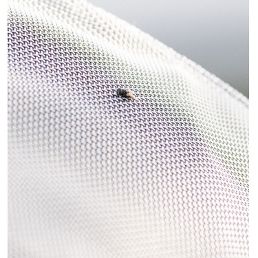 Fliegendecke fürs Pferd mit UV-Schutz – Fieldsafe Fliegendecke fürs Pferd mit UV-Schutz – Fieldsafe