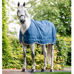 Ionic Therapy Liner 50g – Pferdedecken-Einsatz | Reitsport Ionic Therapy Liner 50g – Pferdedecken-Einsatz | Reitsport