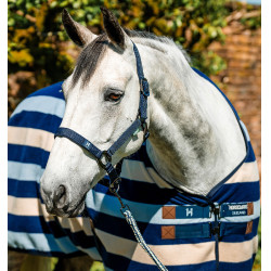 Halfter & Führstrick für Pferde – Horseware Newmarket | Equi-Clic Halfter & Führstrick für Pferde – Horseware Newmarket | Equi-Clic
