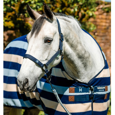 Halfter & Führstrick für Pferde – Horseware Newmarket | Equi-Clic Halfter & Führstrick für Pferde – Horseware Newmarket | Equi-Clic