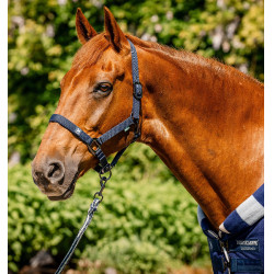 Halfter & Führstrick für Pferde – Horseware Newmarket | Equi-Clic Halfter & Führstrick für Pferde – Horseware Newmarket | Equi-Clic