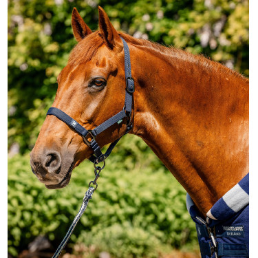 Halfter & Führstrick für Pferde – Horseware Newmarket | Equi-Clic Halfter & Führstrick für Pferde – Horseware Newmarket | Equi-Clic