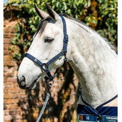 Halfter & Führstrick für Pferde – Horseware Newmarket | Equi-Clic Halfter & Führstrick für Pferde – Horseware Newmarket | Equi-Clic