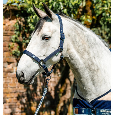 Halfter & Führstrick für Pferde – Horseware Newmarket | Equi-Clic Halfter & Führstrick für Pferde – Horseware Newmarket | Equi-Clic
