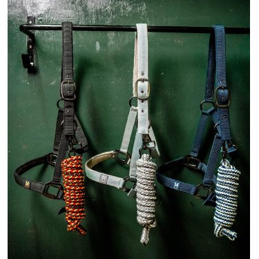 Halfter & Führstrick für Pferde – Horseware Newmarket | Equi-Clic Halfter & Führstrick für Pferde – Horseware Newmarket | Equi-Clic