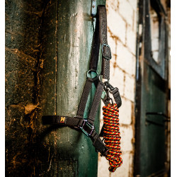 Halfter & Führstrick für Pferde – Horseware Newmarket | Equi-Clic Halfter & Führstrick für Pferde – Horseware Newmarket | Equi-Clic
