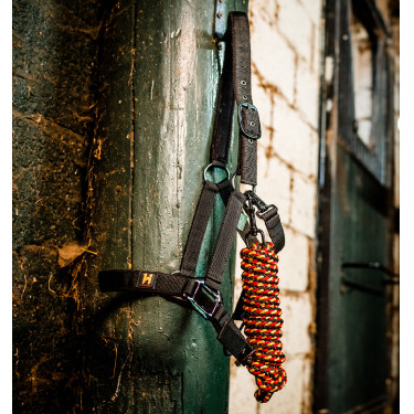 Halfter & Führstrick für Pferde – Horseware Newmarket | Equi-Clic Halfter & Führstrick für Pferde – Horseware Newmarket | Equi-Clic