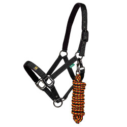 Halfter & Führstrick für Pferde – Horseware Newmarket | Equi-Clic Halfter & Führstrick für Pferde – Horseware Newmarket | Equi-Clic
