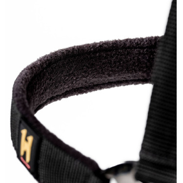 Halfter & Führstrick für Pferde – Horseware Newmarket | Equi-Clic Halfter & Führstrick für Pferde – Horseware Newmarket | Equi-Clic