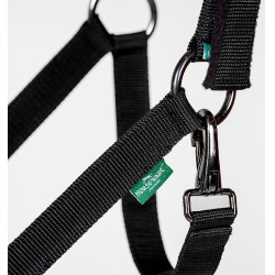 Halfter & Führstrick für Pferde – Horseware Newmarket | Equi-Clic Halfter & Führstrick für Pferde – Horseware Newmarket | Equi-Clic