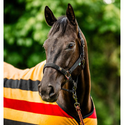Halfter & Führstrick für Pferde – Horseware Newmarket | Equi-Clic Halfter & Führstrick für Pferde – Horseware Newmarket | Equi-Clic