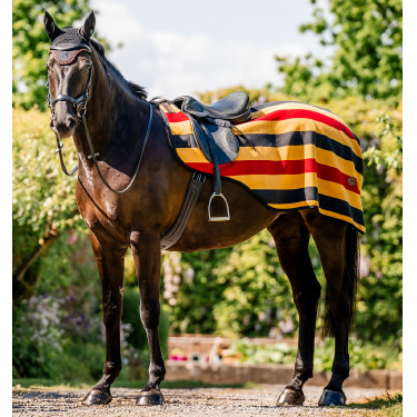 Nierendecke Polarfleece fürs Reiten – Horseware Newmarket