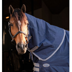 Pferde-Stallhalsteil 200 g – Horseware Rhino | Reitzubehör Pferde-Stallhalsteil 200 g – Horseware Rhino | Reitzubehör