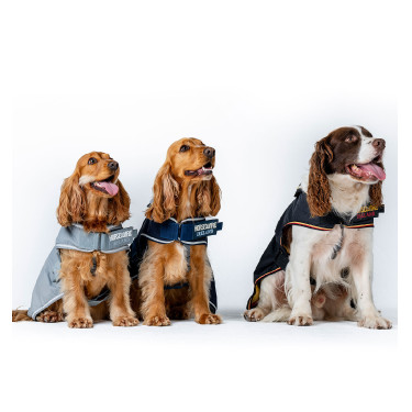 Hundemantel für Hunde – Horseware Newmarket | Reitsport Hundemantel für Hunde – Horseware Newmarket | Reitsport