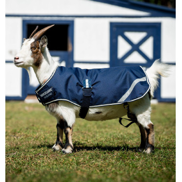 Ziegendecke 0g wasserdicht – Horseware | Equitation