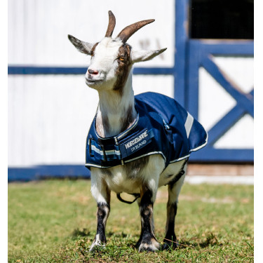 Ziegendecke 0g wasserdicht – Horseware | Equitation