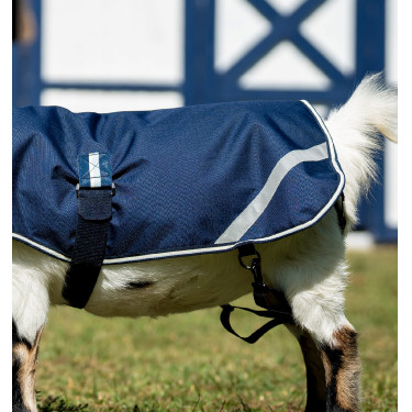 Ziegendecke 0g wasserdicht – Horseware | Equitation