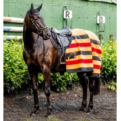 Fleece-Abschwitzdecke für Pferde – Horseware Newmarket