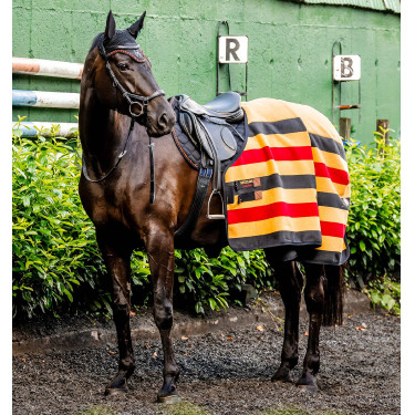Fleece-Abschwitzdecke für Pferde – Horseware Newmarket
