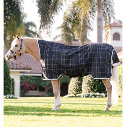 Pony-Regendecke 250g für Winter – Horseware Rhino Wug