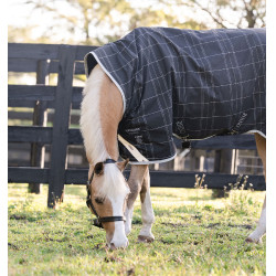 Pony-Regendecke 250g für Winter – Horseware Rhino Wug